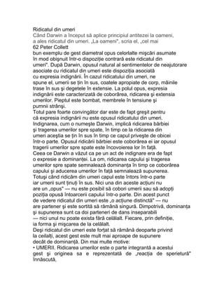 Ridicatul din umeri
Când Darwin a început să aplice principiul antitezei la oameni,
a ales ridicatul din umeri. „La oameni", scria el, „cel mai
62 Peter Collett
bun exemplu de gest diametral opus celorlalte mişcări asumate
în mod obişnuit într-o dispoziţie contrară este ridicatul din
umeri". După Darwin, opusul natural al sentimentelor de neajutorare
asociate cu ridicatul din umeri este dispoziţia asociată
cu expresia indignării. În cazul ridicatului din umeri, ne
spune el, umerii se ţin în sus, coatele apropiate de corp, mâinile
trase în sus şi degetele în extensie. La polul opus, expresia
indignării este caracterizată de coborârea, ridicarea şi extensia
umerilor. Pieptul este bombat, membrele în tensiune şi
pumnii strânşi.
Totul pare foarte convingător dar este de fapt greşit pentru
că expresia indignării nu este opusul ridicatului din umeri.
Indignarea, cum o numeşte Darwin, implică ridicarea bărbiei
şi tragerea umerilor spre spate, în timp ce la ridicarea din
umeri aceştia se ţin în sus în timp ce capul priveşte de obicei
într-o parte. Opusul ridicării bărbiei este coborârea ei iar opusul
tragerii umerilor spre spate este încovoierea lor în faţă.
Ceea ce Darwin a văzut ca pe un act de indignare era de fapt
o expresie a dominanţei. La om, ridicarea capului şi tragerea
umerilor spre spate semnalează dominanţa în timp ce coborârea
capului şi aducerea umerilor în faţă semnalează supunerea.
Totuşi când ridicăm din umeri capul este întors într-o parte
iar umerii sunt ţinuţi în sus. Nici una din aceste acţiuni nu
are un „opus" — nu este posibil să cobori umerii sau să adopţi
poziţia opusă întoarcerii capului într-o parte. Din acest punct
de vedere ridicatul din umeri este „o acţiune distinctă" — nu
are partener şi este sortită să rămână singură. Dimpotrivă, dominanţa
şi supunerea sunt ca doi parteneri de dans inseparabili
— nici unul nu poate exista fără celălalt. Fiecare, prin definiţie,
ia forma şi mişcarea de la celălalt.
Deşi ridicatul din umeri este forţat să rămână deoparte privind
la ceilalţi, acest gest este mult mai aproape de supunere
decât de dominanţă. Din mai multe motive:
• UMERII. Ridicarea umerilor este o parte integrantă a acestui
gest şi originea sa e reprezentată de „reacţia de sperietură"
înnăscută,
 