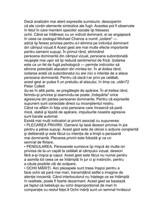 Dacă analizăm mai atent expresiile sumisiunii, descoperim
că ele conţin elemente simbolice ale fugii. Acestea pot fi observate
în felul în care membrii speciilor sociale îşi folosesc
ochii. Când se întâlnesc cu un individ dominant, ei se angajează
în ceea ce zoologul Michael Chance a numit „izolare" —
adică îşi feresc privirea pentru a-l elimina pe individul dominant
din câmpul vizual.8 Acest gest are mai multe efecte importante
pentru oamenii supuşi. În primul rând, eliminând
persoana dominantă din câmpul vizual, persoana subordonată
reuşeşte mai uşor să îşi reducă sentimentul de frică. Izolarea
este ca un fel de fugă psihologică — permite indivizilor să
elimine potenţialii atacatori din mintea lor. În al doilea rând,
izolarea arată că subordonatul nu are nici o intenţie de a ataca
persoana dominantă. Pentru că dacă l-ar privi pe celălalt,
acest gest ar putea fi un preludiu al atacului, în timp ce, uitân72
Peter Collett
du-se în altă parte, se pregăteşte de apărare. În al treilea rând,
ferindu-şi privirea şi aservindu-se poate „îndepărta" orice
agresiune din partea persoanei dominante. Pentru că expresiile
supunerii sunt conectate direct cu inconştientul nostru.
Când ne aflăm în faţa unei persoane care încearcă să pară
mică, slabă şi lipsită de apărare, impulsurile noastre agresive
sunt barate automat.
Există mai mulţi indicatori ai privirii asociaţi cu supunerea:
• PLECAREA PRIVIRII. Oamenii îşi lasă deseori privirea în jos
pentru a părea supuşi. Acest gest este de obicei o acţiune conştientă
şi deliberată şi este făcut cu intenţia de a linişti o persoană
mai dominantă. Plecarea privirii este folosită şi ca un
semnal de flirtare.
• PENDULAREA. Persoanele sumisive îşi mişcă de multe ori
privirea de la un capăt la celălalt al câmpului vizual, deseori
fără a-şi mişca şi capul. Acest gest este făcut nu numai pentru
a asimila tot ceea ce se întâmplă în jur ci şi instinctiv, pentru
a căuta posibile căi de scăpare.
• OCHII MĂRIŢI. Aici pleoapele sunt trase înapoi pentru a
face ochii să pară mai mari, transmiţând astfel o imagine de
atenţie inocentă. Când interlocutorul nu înţelege ce se întâmplă
în realitate, poate fi foarte dezarmant. Acest gest se bazează
pe faptul că bebeluşii au ochii disproporţionat de mari în
comparaţie cu restul feţei.9 Ochii măriţi sunt un semnal înnăscut
 