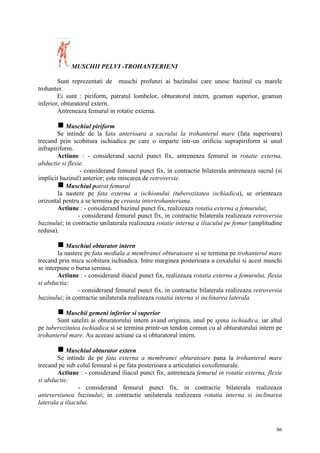 MUSCHII PELVI -TROHANTERIENI
Sunt reprezentati de muschi profunzi ai bazinului care unesc bazinul cu marele
trohanter.
Ei sunt : piriform, patratul lombelor, obturatorul intern, geaman superior, geaman
inferior, obturatorul extern.
Antreneaza femurul in rotatie externa.
g Muschiul piriform
Se intinde de la fata anterioara a sacrului la trohanterul mare (fata superioara)
trecand prin scobitura ischiadica pe care o imparte intr-un orificiu suprapiriform si unul
infrapiriform.
Actiune : - considerand sacrul punct fix, antreneaza femurul in rotatie externa,
abductie si flexie.
- considerand femurul punct fix, in contractie bilaterala antreneaza sacrul (si
implicit bazinul) anterior; este miscarea de retroversie.
g Muschiul patrat femural
Ia nastere pe fata externa a ischionului (tuberozitatea ischiadica), se orienteaza
orizontal pentru a se termina pe creasta intertrohanteriana.
Actiune : - considerand bazinul punct fix, realizeaza rotatia externa a femurului;
- considerand femurul punct fix, in contractie bilaterala realizeaza retroversia
bazinului; in contractie unilaterala realizeaza rotatie interna a iliacului pe femur (amplitudine
redusa).
g Muschiul obturator intern
Ia nastere pe fata mediala a membranei obturatoare si se termina pe trohanterul mare
trecand prin mica scobitura ischiadica. Intre marginea posterioara a coxalului si acest muschi
se interpune o bursa seroasa.
Actiune : - considerand iliacul punct fix, realizeaza rotatia externa a femurului, flexia
si abductia;
- considerand femurul punct fix, in contractie bilaterala realizeaza retroversia
bazinului; in contractie unilaterala realizeaza rotatia interna si inclinarea laterala.
g Muschii gemeni inferior si superior
Sunt sateliti ai obturatorului intern avand originea, unul pe spina ischiadica, iar altul
pe tuberozitatea ischiadica si se termina printr-un tendon comun cu al obturatorului intern pe
trohanterul mare. Au aceeasi actiune ca si obturatorul intern.
g Muschiul obturator extern
Se intinde de pe fata externa a membranei obturatoare pana la trohanterul mare
trecand pe sub colul femural si pe fata posterioara a articulatiei coxofemurale.
Actiune : - considerand iliacul punct fix, antreneaza femurul in rotatie externa, flexie
si abductie;
- considerand femurul punct fix, in contractie bilaterala realizeaza
anteversiunea bazinului; in contractie unilaterala realizeaza rotatia interna si inclinarea
laterala a iliacului.

86

 