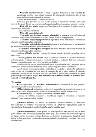 Carte anatomie lp | PDF