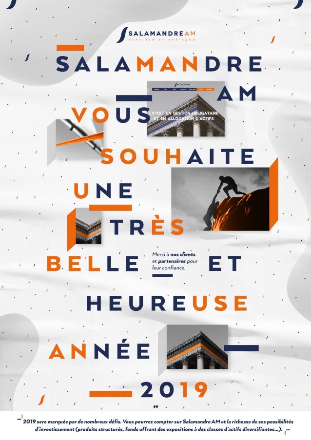 Carte De Voeux Salamandre Am 19