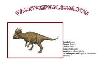 Período: Cretácico
Longitud: 8 metros
Altura: 4 metros
Peso: de 1 a 3 toneladas
Zona: América del norte (Alberta)
Su nombre quiere decir: Lagarto de cabeza gruesa
Herbívoro
 