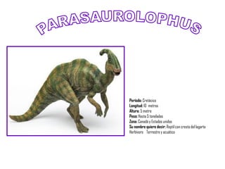 Período: Cretácico
Longitud: 10 metros
Altura: 5 metro
Peso: Hasta 5 toneladas
Zona: Canadá y Estados unidos
Su nombre quiere decir: Reptil con cresta del lagarto
Herbívoro Terrestre y acuático
 