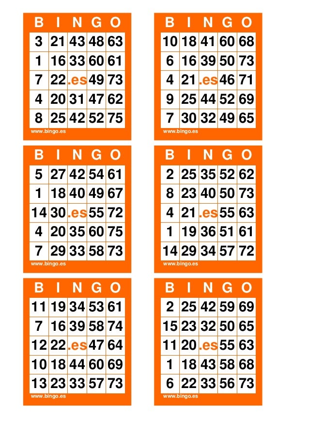 Bingo Bingo