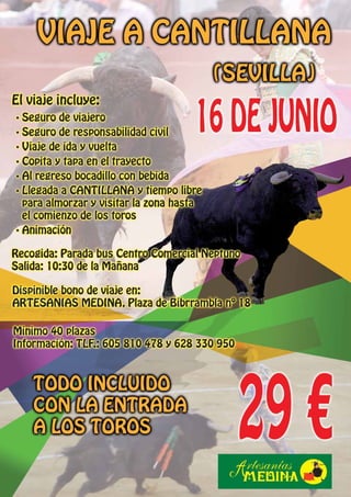 Cartel de viaje desde Granada a Cantillana 16 de junio cantillana