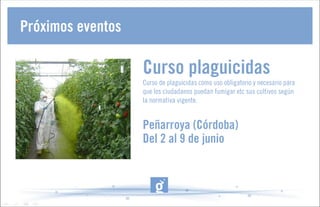 Guadalinfo transforma el territorio
 