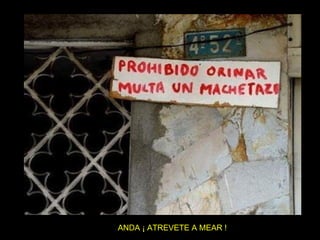 ANDA ¡ ATREVETE A MEAR ! 