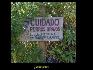 ¡ ATREVETE ! 