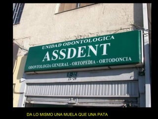 DA LO MISMO UNA MUELA QUE UNA PATA 