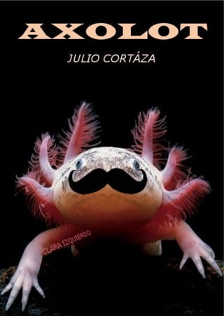 Carteles julio cortazar 1ºb