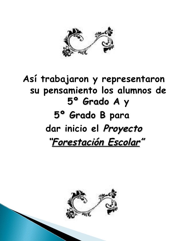 La máscara para los cabellos los cabellos como el estropajo