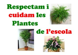 Respectam i
cuidam les
Plantes
de l’escola
 