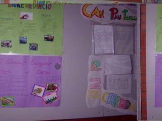 Cartells sd c 2013