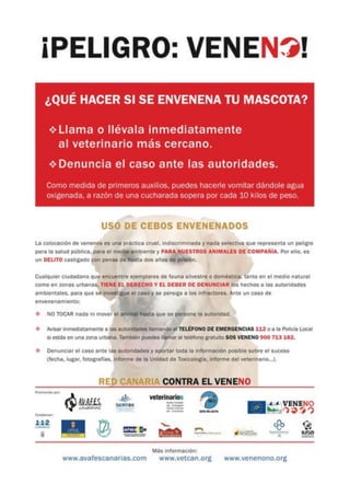 Cartel de la Red Canaria de Lucha Contra el VeneNo