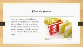 Virus de fichero
• Infectan programas o ficheros
ejecutables, por lo que al ejecutarse
dicho fichero el virus se activará y
llevará a cabo las acciones para las
cuales ha sido creado. La mayoría
de los virus existentes son de este
tipo.
 