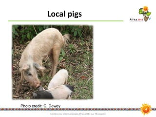 Nutritional value of locally available African pig feed ingredients: A basis for improved pork production to improve human health