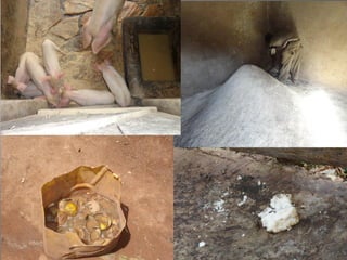 Smallholder pig value chain project in Uganda