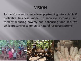 Smallholder pig value chain project in Uganda