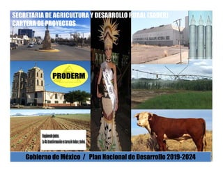SECRETARIA DE AGRICULTURA Y DESARROLLO RURAL (SADER)
CARTERA DE PROYECTOS
Gobierno de México / Plan Nacional de Desarrollo 2019-2024
 