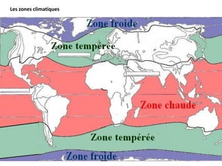Les zones climatiques
 