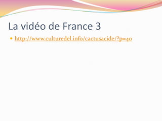 La vidéo de France 3http://www.culturedel.info/cactusacide/?p=40