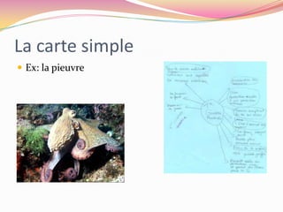 La carte simpleEx: la pieuvre