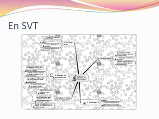 Résoudre des problèmes en mathématiqueshttp://www.mindomo.com/view?m=18a59a56d19548b7bcc5c01f7e3caf40