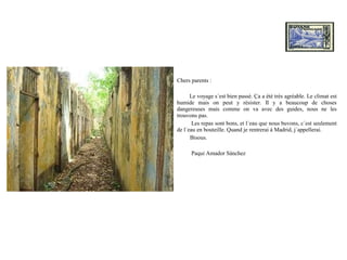 Chers parents :

      Le voyage s´est bien passé. Ça a été très agréable. Le climat est
humide mais on peut y résister. Il y a beaucoup de choses
dangereuses mais comme on va avec des guides, nous ne les
trouvons pas.
       Les repas sont bons, et l´eau que nous buvons, c´est seulement
de l´eau en bouteille. Quand je rentrerai à Madrid, j´appellerai.
      Bisous.

      Paqui Amador Sánchez
 