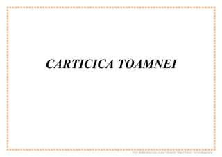 Prof.RadneantuCati,Liceul Teoretic“MarinPreda”TurnuMagurele
CARTICICA TOAMNEI
 