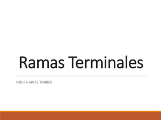 Ramas Terminales
INDIRA ARIAS TORRES
 