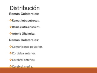 Distribución
Ramas Colaterales:
Ramas intrapetrosas.
Ramas Intrasinusales.
Arteria Oftálmica.
Ramas Colaterales:
Comunicante posterior.
Coroidea anterior.
Cerebral anterior.
Cerebral media.
 