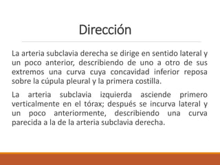 Dirección
La arteria subclavia derecha se dirige en sentido lateral y
un poco anterior, describiendo de uno a otro de sus
extremos una curva cuya concavidad inferior reposa
sobre la cúpula pleural y la primera costilla.
La arteria subclavia izquierda asciende primero
verticalmente en el tórax; después se incurva lateral y
un poco anteriormente, describiendo una curva
parecida a la de la arteria subclavia derecha.
 