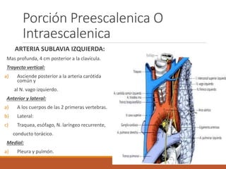 Porción Preescalenica O
Intraescalenica
ARTERIA SUBLAVIA IZQUIERDA:
Mas profunda, 4 cm posterior a la clavícula.
Trayecto vertical:
a) Asciende posterior a la arteria carótida
común y
al N. vago izquierdo.
Anterior y lateral:
a) A los cuerpos de las 2 primeras vertebras.
b) Lateral:
c) Traquea, esófago, N. laríngeo recurrente,
conducto torácico.
Medial:
a) Pleura y pulmón.
 