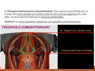 1. Triángulo Submentoniano (Suprahioideo). Este espacio está limitado por el
cuerpo del hueso hioides y el vientre anterior del músculo digástrico de cada
lado. Su piso está formado por el músculo milohioideo
Contiene las venas yugulares anteriores y los ganglios submentonianos.
 