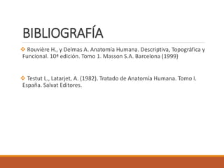 BIBLIOGRAFÍA
 Rouvière H., y Delmas A. Anatomía Humana. Descriptiva, Topográfica y
Funcional. 10ª edición. Tomo 1. Masson S.A. Barcelona (1999)
 Testut L., Latarjet, A. (1982). Tratado de Anatomía Humana. Tomo I.
España. Salvat Editores.
 