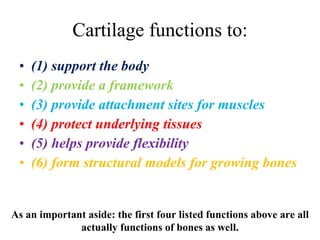 Cartilage functions to: ,[object Object],[object Object],[object Object],[object Object],[object Object],[object Object],As an important aside: the first four listed functions above are all actually functions of bones as well. 
