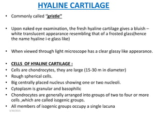 Cartilage (1) | PPTX