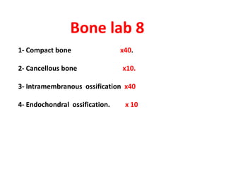 Bone lab 8
1- Compact bone                 x40.

2- Cancellous bone              x10.

3- Intramembranous ossification x40

4- Endochondral ossification.    x 10
 