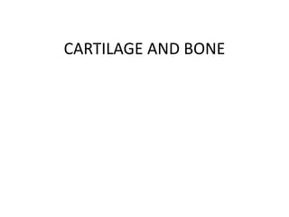 CARTILAGE AND BONE
 