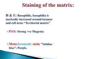 H & E: Basophilic, basophilia is
markedly increased around lacunae
and cell nests “Territorial matrix”
PAS: Strong +ve Magenta
Metachromatic stain ”Tolidine
blue”: Purple.
 