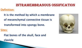 Definition:
It is the method by which a membrane
of mesenchymal connective tissue is
transformed into spongy bone.
Sites:
Flat bones of the skull, face and
clavicle
 