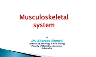 Musculoskeletal
system
By
Dr. Shereen Hamed
Lecturer of Histology & Cell Biology
Faculty of Medicine. Mansoura
University
 