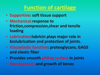 Function of cartilage
• Supportive: soft tissue support
• Mechanical:response to
friction,compression,shear and tensile
loading
• Lubrication:lubricin plays major role in
biolubrication and protection of joints.
• Viscoelastic function: proteoglycans, GAGS
and elastic fiber
• Provides smooth gliding surface in joints
• Development and growth of bones
 