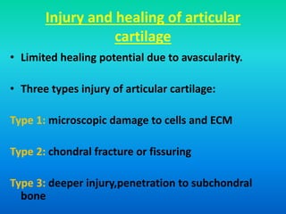 Injury and healing of articular
cartilage
• Limited healing potential due to avascularity.
• Three types injury of articular cartilage:
Type 1: microscopic damage to cells and ECM
Type 2: chondral fracture or fissuring
Type 3: deeper injury,penetration to subchondral
bone
 