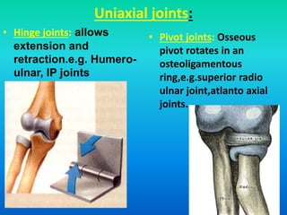 Uniaxial joints:
• Hinge joints: allows
extension and
retraction.e.g. Humero-
ulnar, IP joints
• Pivot joints: Osseous
pivot rotates in an
osteoligamentous
ring,e.g.superior radio
ulnar joint,atlanto axial
joints.
 