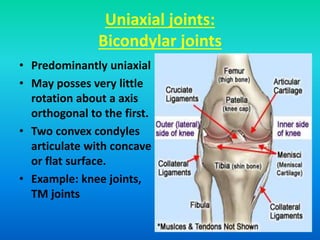 Uniaxial joints:
Bicondylar joints
• Predominantly uniaxial
• May posses very little
rotation about a axis
orthogonal to the first.
• Two convex condyles
articulate with concave
or flat surface.
• Example: knee joints,
TM joints
 