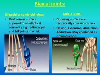 Biaxial joints:
Ellipsoid or condyloid joints:
• Oval convex surface
apposed to an elliptical
concavity e.g. radio-carpal
and MP joints in wrist.
Saddle joints:
• Opposing surface are
reciprocally concavo-convex.
• Flexion- Extension, Abduction-
Adduction, May combined as
circumduction.
 