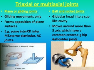 Triaxial or multiaxial joints
• Plane or gliding joints:
• Gliding movements only
• Forms apposition of plane
surfaces.
• E.g. some interCP, inter
MT,sterno-clavicular, AC
joints.
• Ball and socket joints:
• Globular head into a cup
like cavity
• Moves around more than
3 axis which have a
common center.e.g hip
&shoulder joints.
 