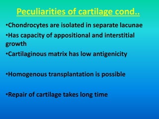 Peculiarities of cartilage cond..
•Chondrocytes are isolated in separate lacunae
•Has capacity of appositional and interstitial
growth
•Cartilaginous matrix has low antigenicity
•Homogenous transplantation is possible
•Repair of cartilage takes long time
 