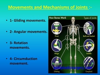 Movements and Mechanisms of Joints :-
• 1- Gliding movements.
• 2- Angular movements.
• 3- Rotation
movements.
• 4- Circumduction
movement.
 